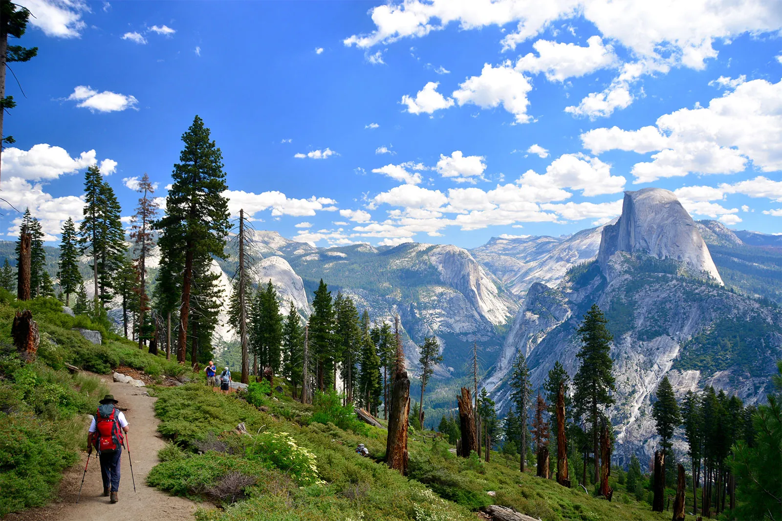 Weekend Camping in California yosemite national park