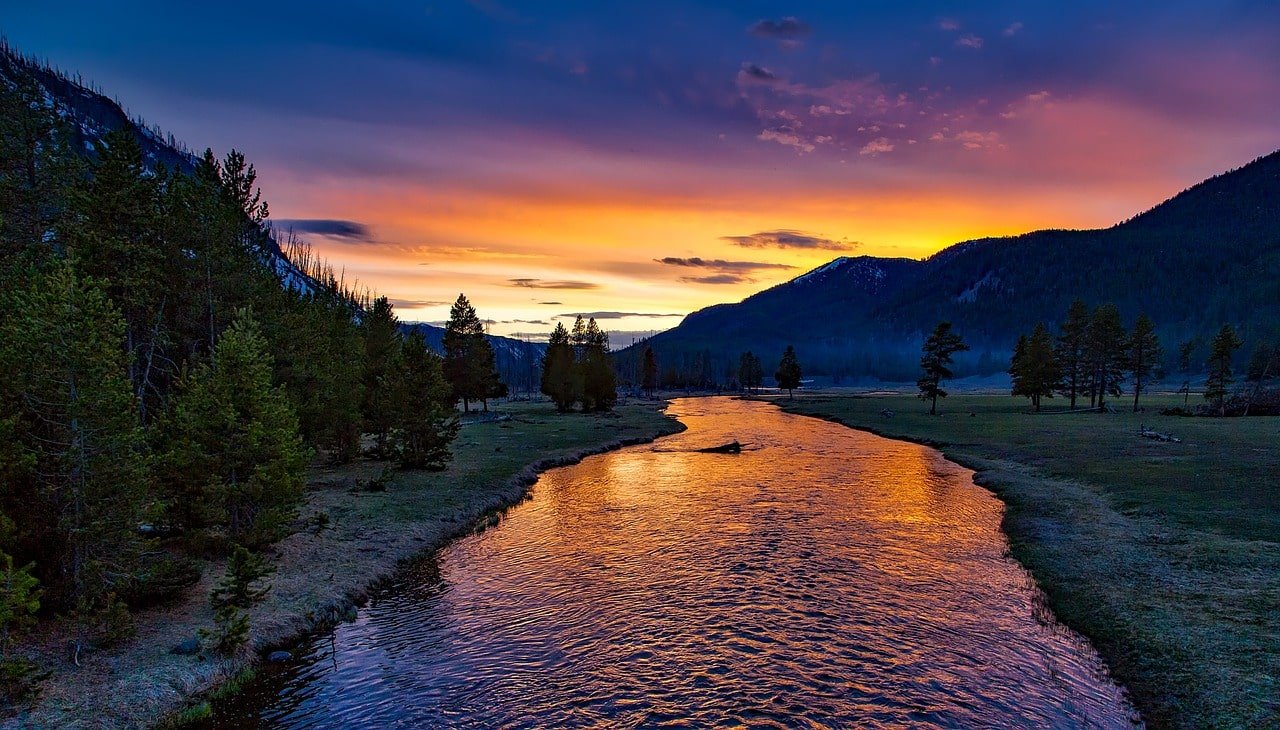 Family Leisure Travel Top Summer Destinations to Bring the Whole Family Along to Yellowstone national park