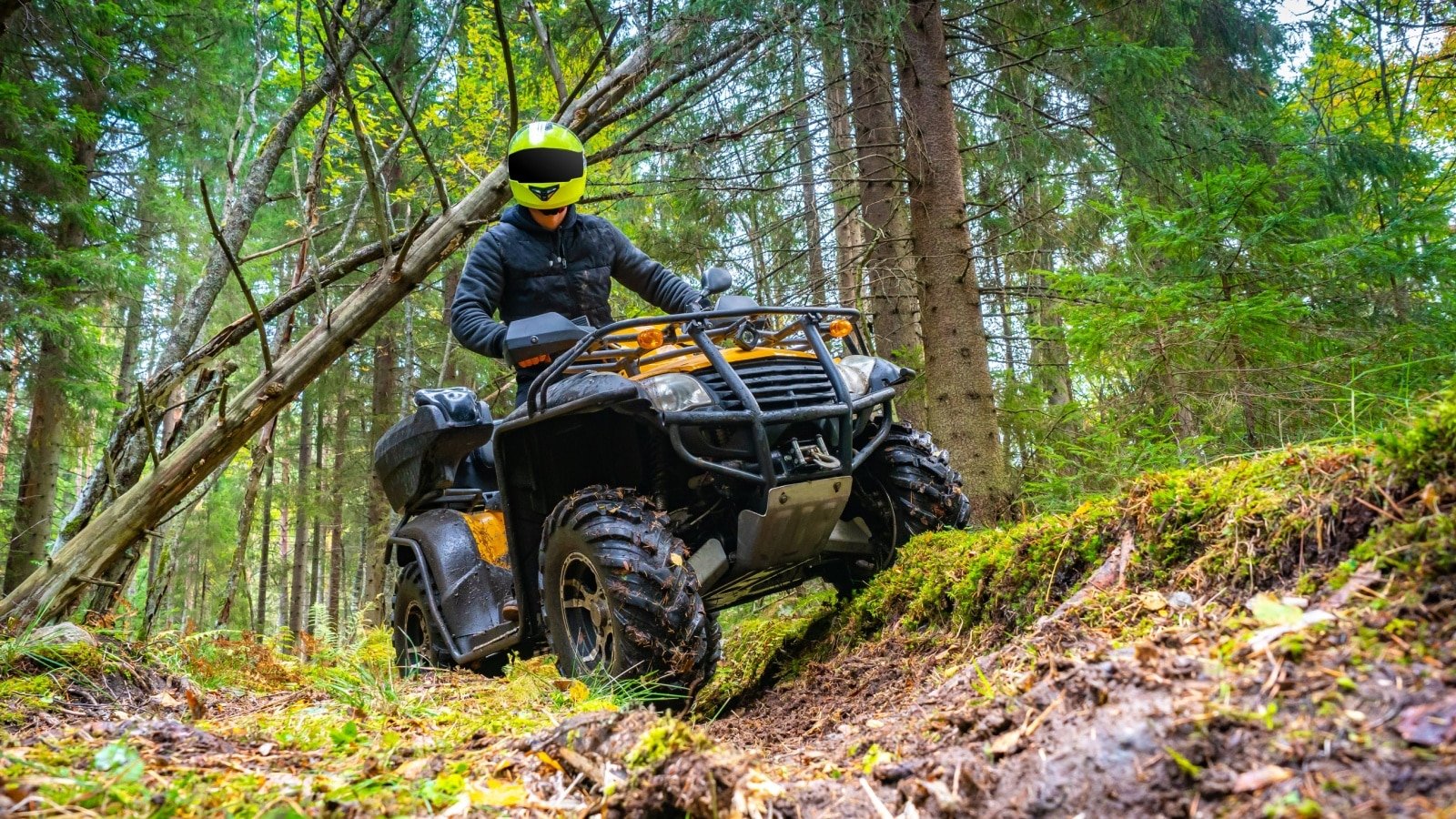 ATV with driver quad bike four wheeler helmet recreation vehicle all terrain vehicle forest FOTOGRIN Shutterstock