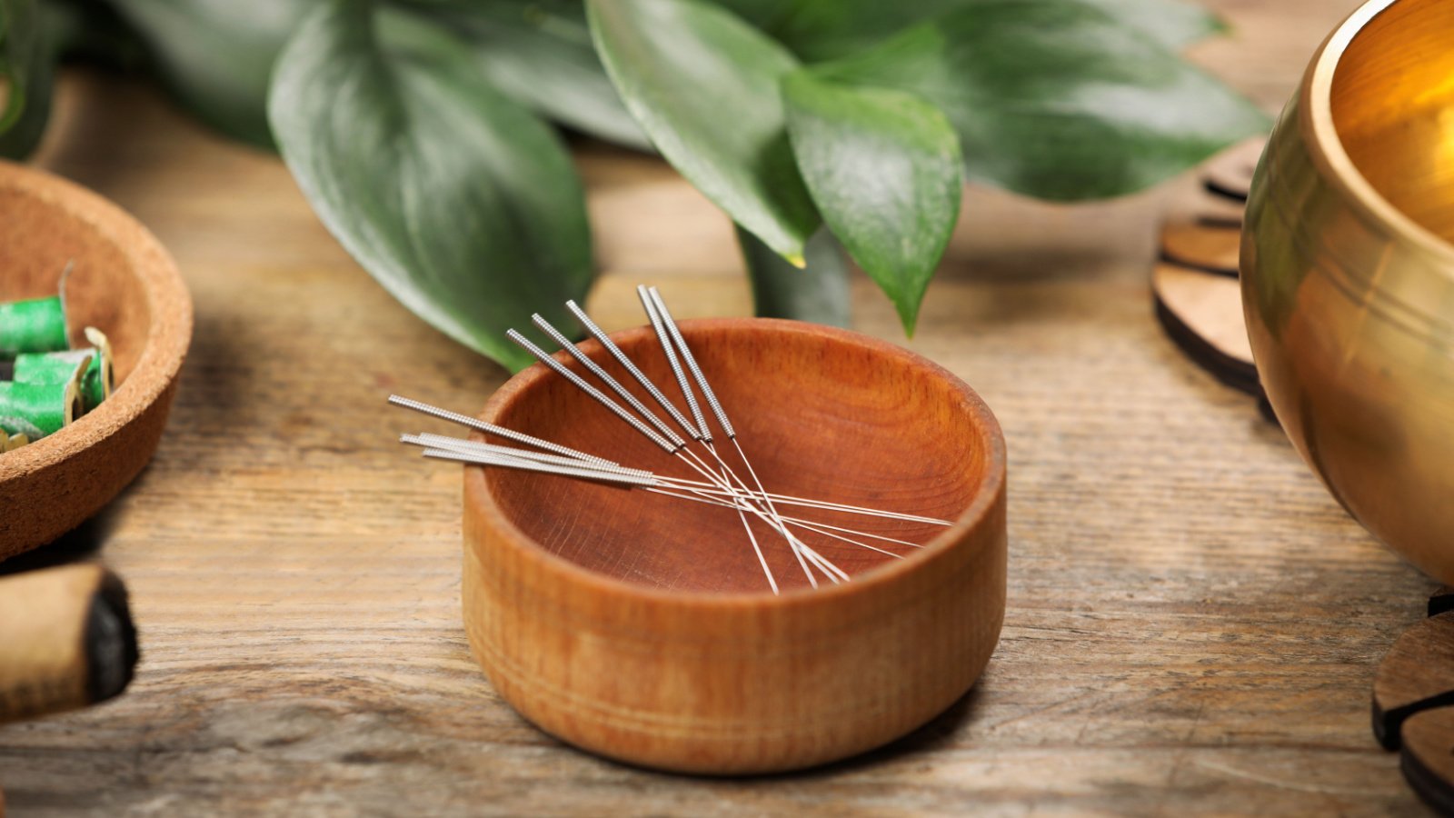 Acupuncture Needles Alternative Medicine New Africa Shutterstock