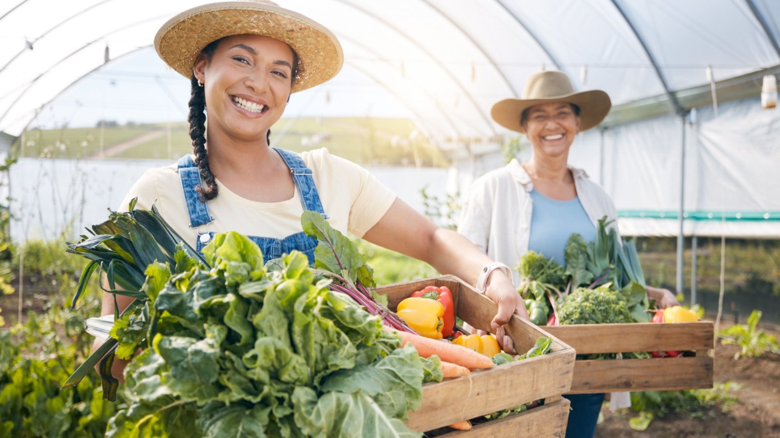 Agriculture Garden Harvest Vegetables PeopleImages.com Yuri A Shutterstock