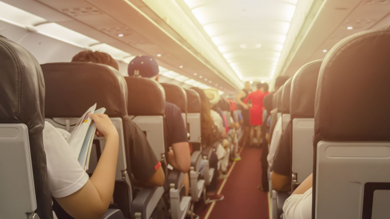 Airplane Cabin seats economy i am Qooindy Shutterstock