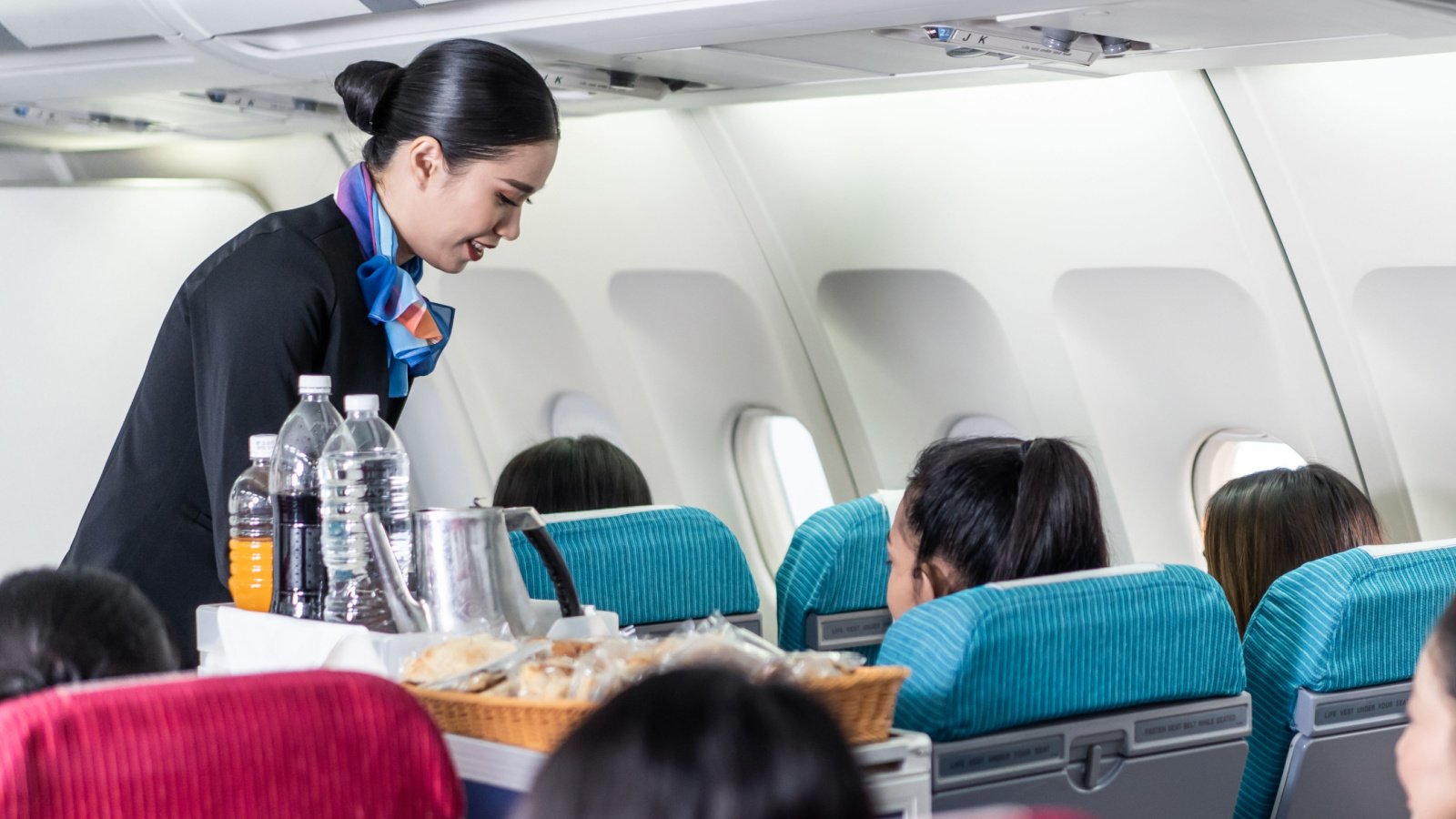 Airplane Flight Attendant Cabin Crew Meal Service Hananeko Studio Shutterstock