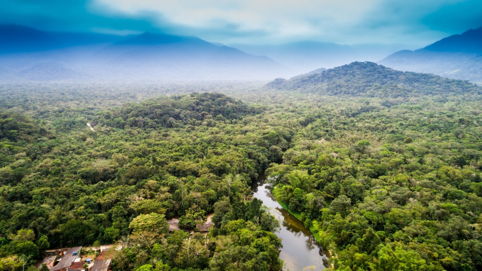 Amazon Rainforest and river South America Gustavo Frazao Shutterstock