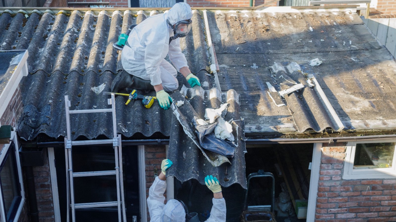 Asbestos removal construction Arjan van de Logt Shutterstock