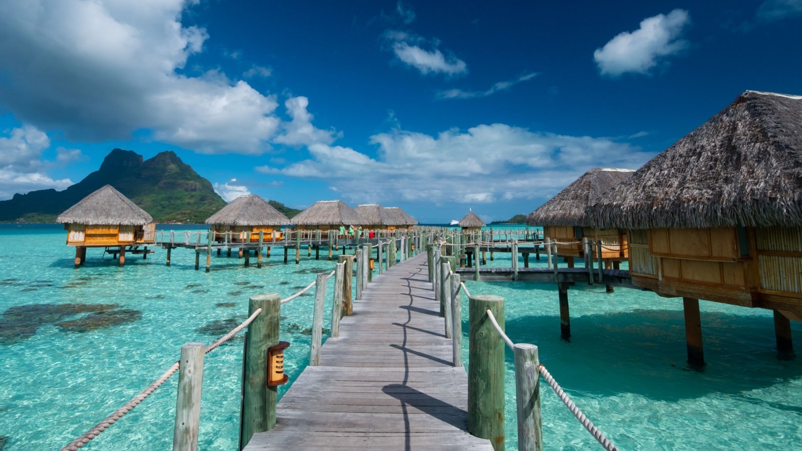 BORA BORA, FRENCH POLYNESIA James Jones Jr Shutterstock BORA BORA, FRENCH POLYNESIA James Jones Jr Shutterstock