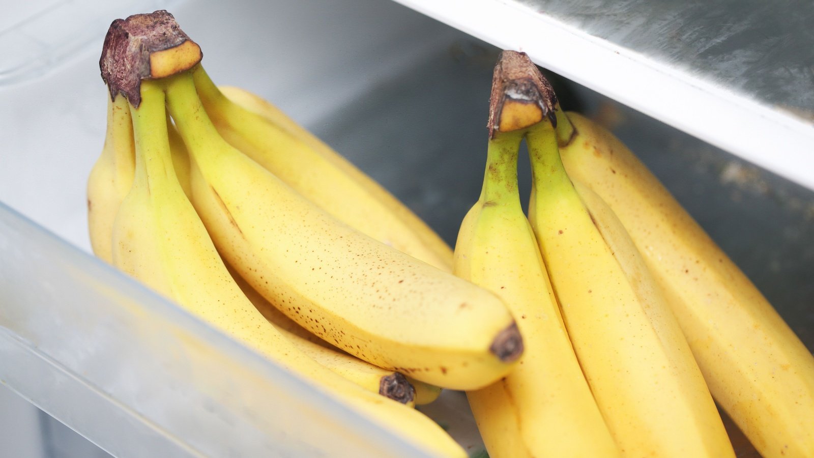 Bananas in fridge fruit Pawel Michalowski Shutterstock Bananas in fridge fruit Pawel Michalowski Shutterstock