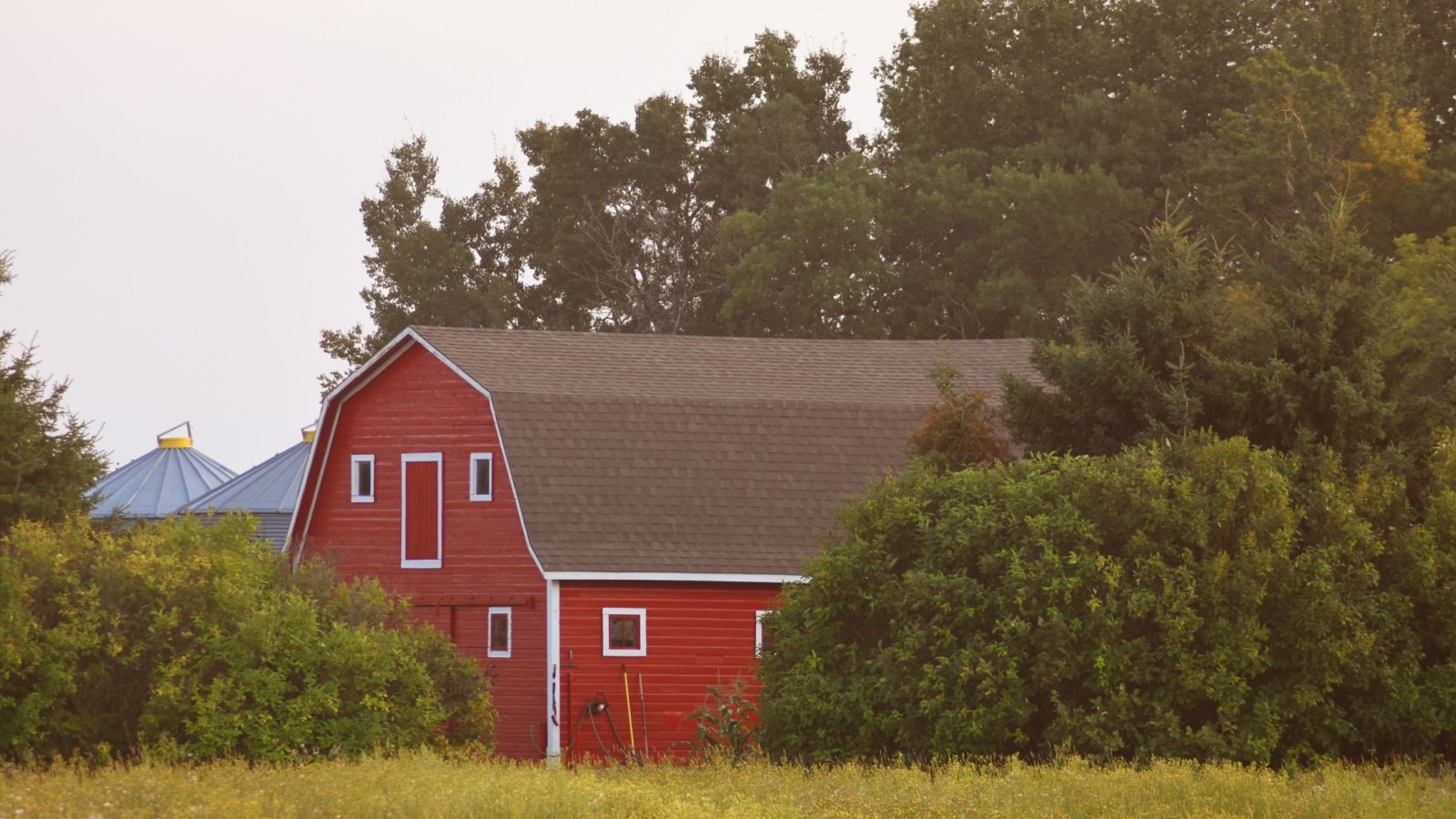 Barn Farm Rural Structured Vision Shutterstock