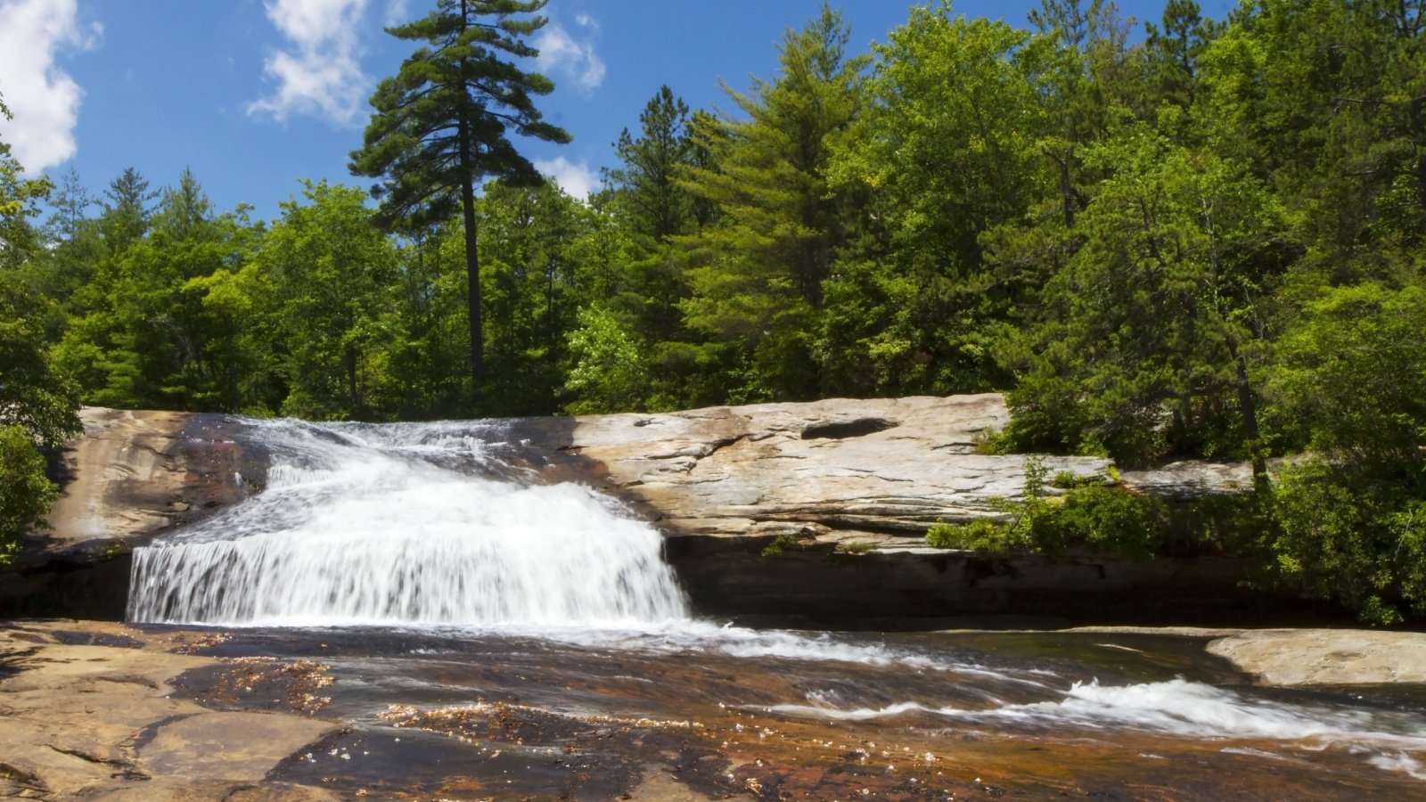 Bridal Veil Falls in the Dupont State Forest in Asheville, North Carolina Bok David Shutterstock