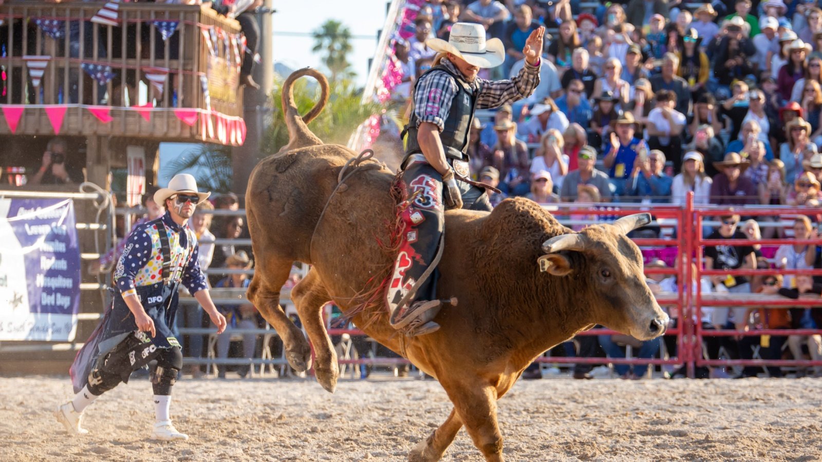 Bull riding competition rodeo cowboy YES Market Media Shutterstock