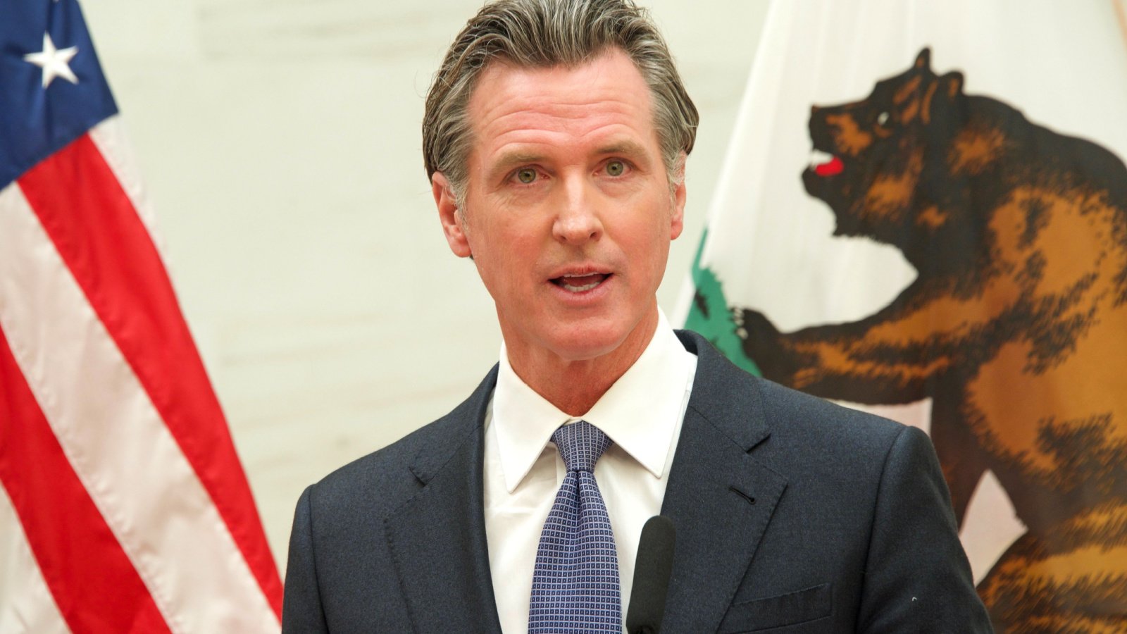 California Governor Gavin Newsom Democrat Politics Sheila Fitzgerald Shutterstock