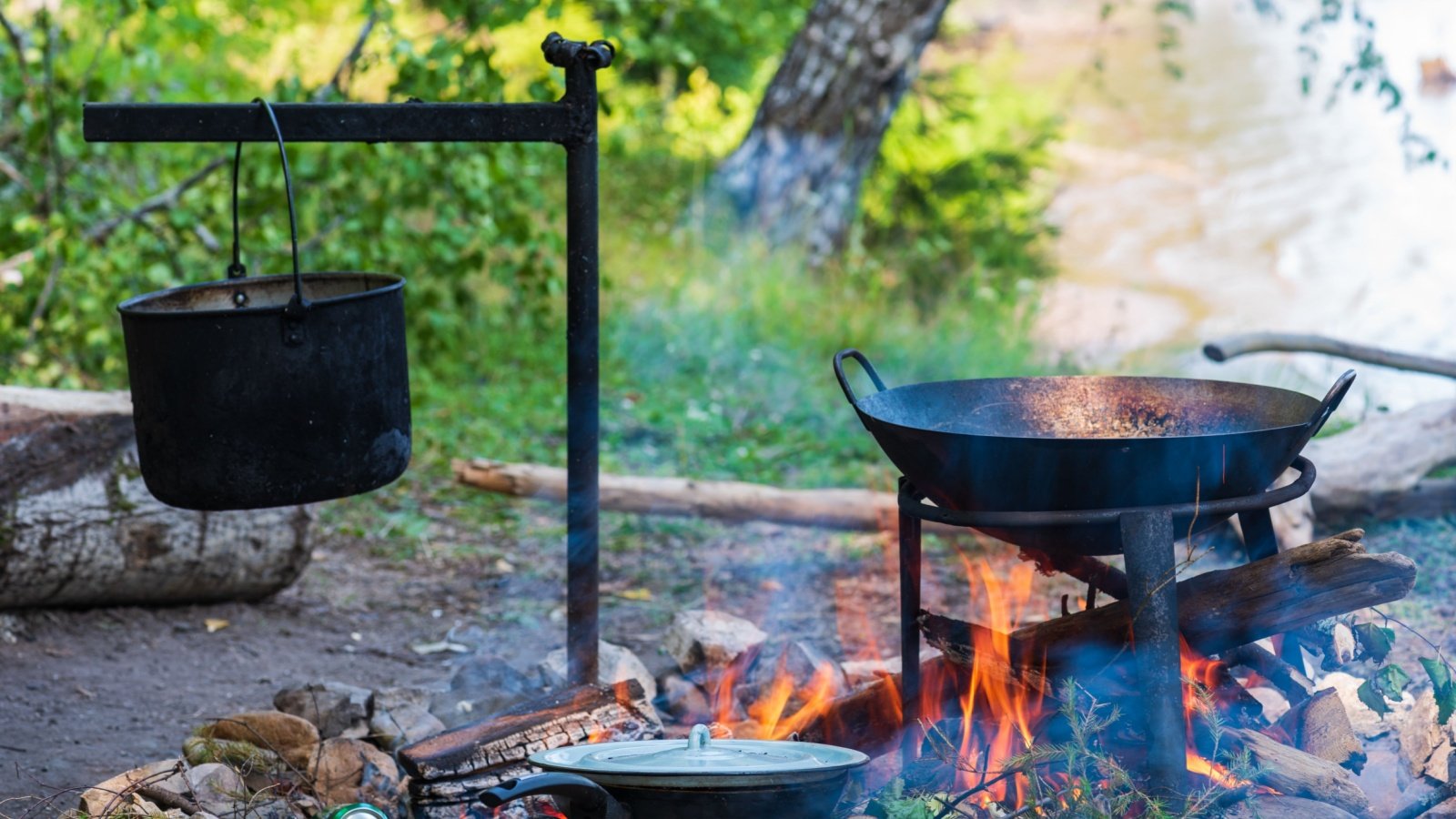 Camping campfire cooking over an open flame woods primitive AAB71 Shutterstock