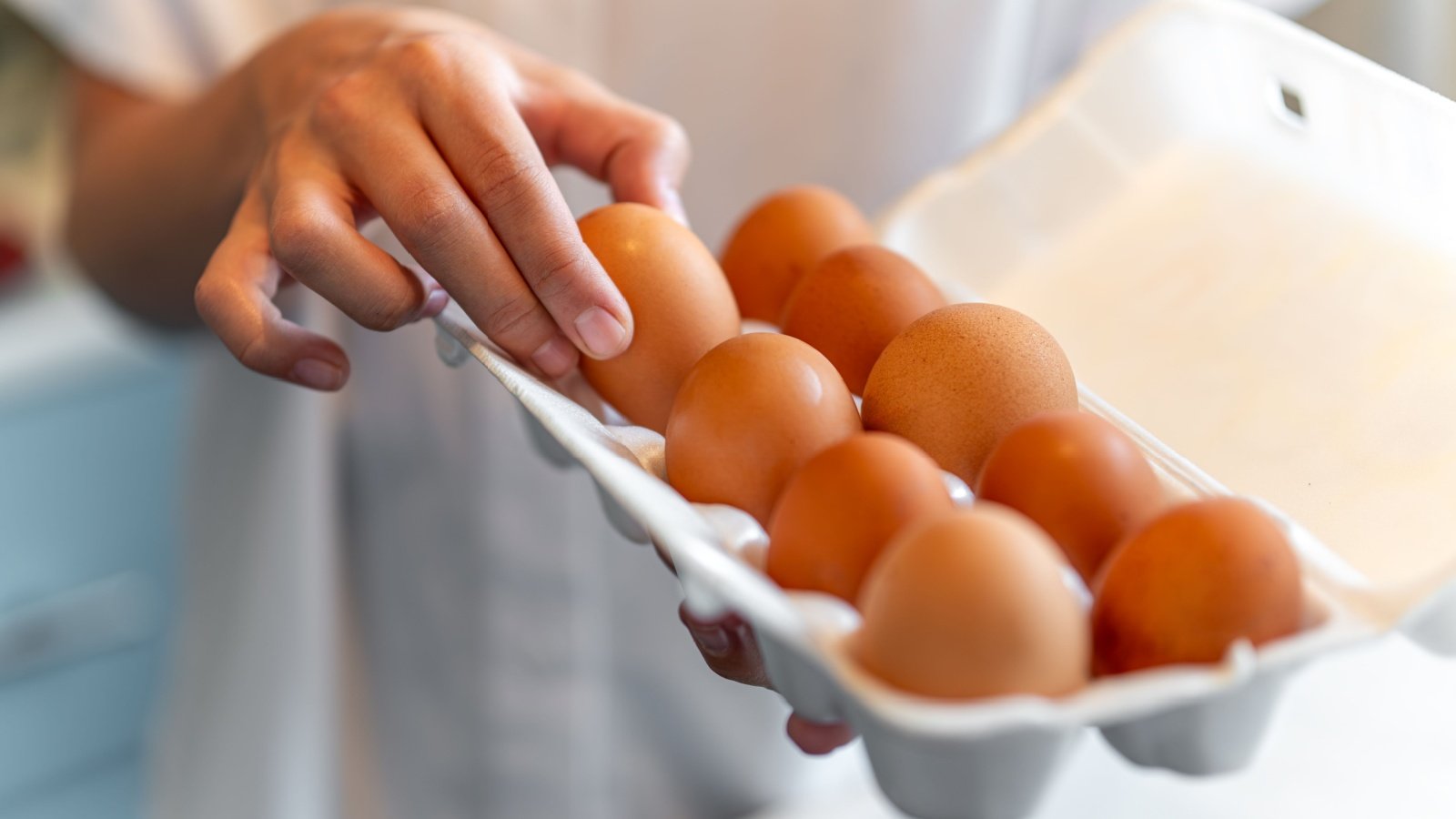 Carton of eggs recipe ingredients cooking food Melnikov Dmitriy Shutterstock Carton of eggs recipe ingredients cooking food Melnikov Dmitriy Shutterstock
