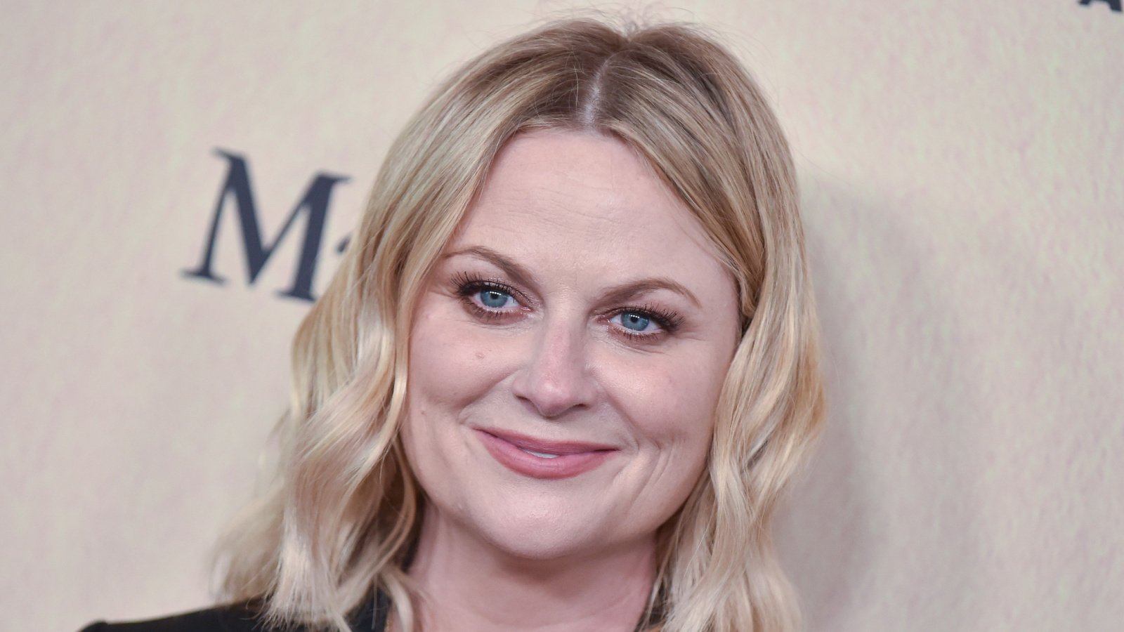 Celebrity Actor Comedian Amy Poehler 2019 DFree Shutterstock