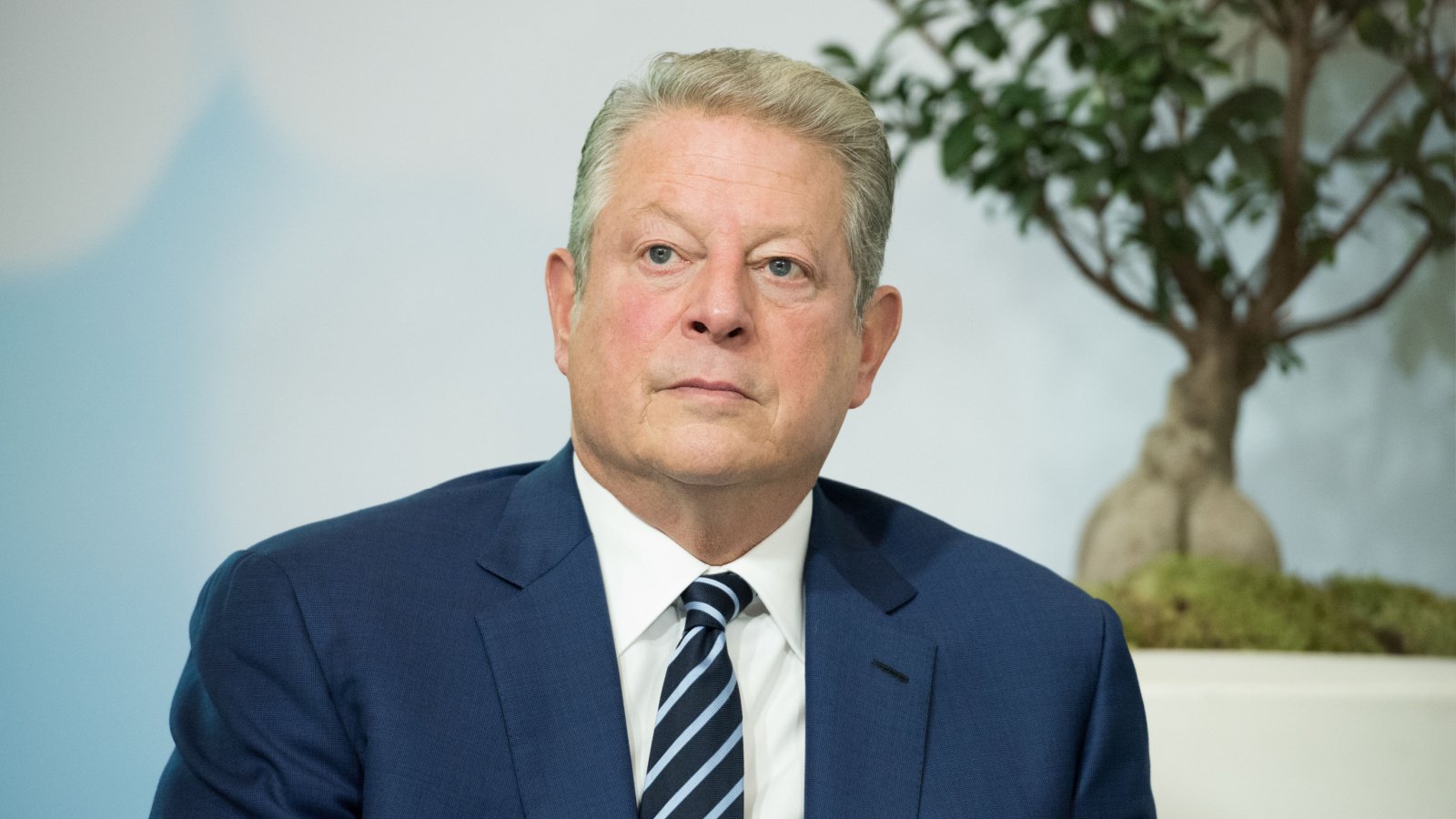 Celebrity Politician Al Gore 2015 Frederic Legrand COMEO Shutterstock