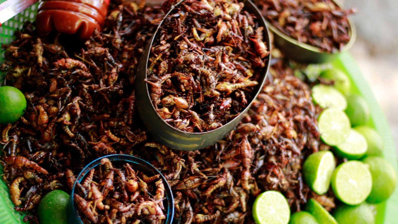 Chapulines grasshoppers cooked in Mexico bugs insects oswaldo kanto 10 Shutterstock