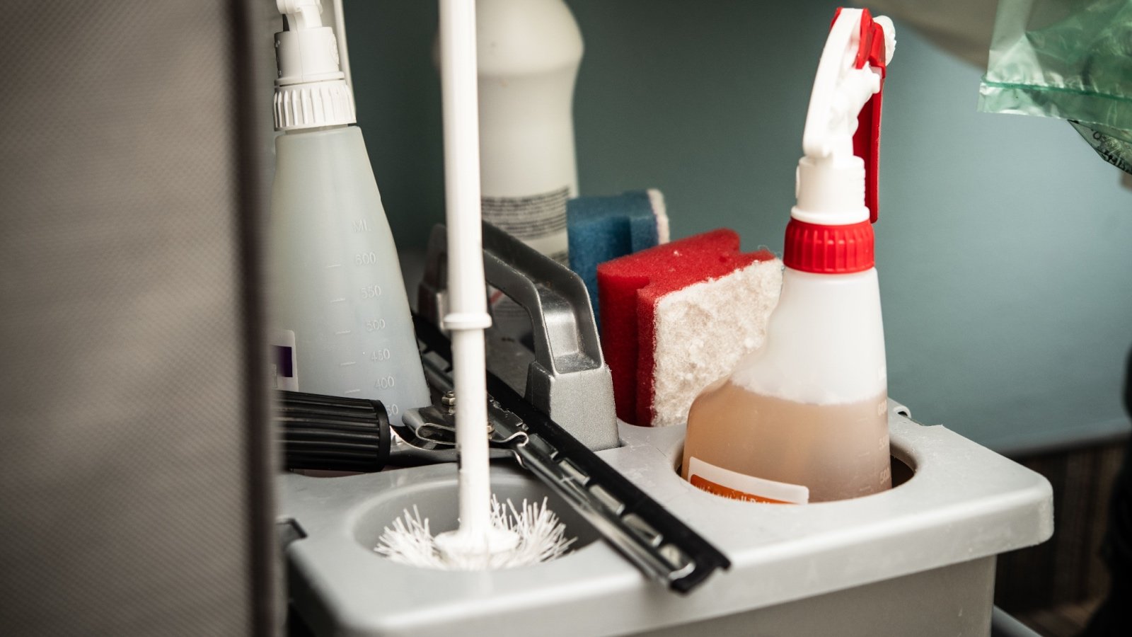 Cleaning caddy with cleaning supplies MOLEQL Shutterstock