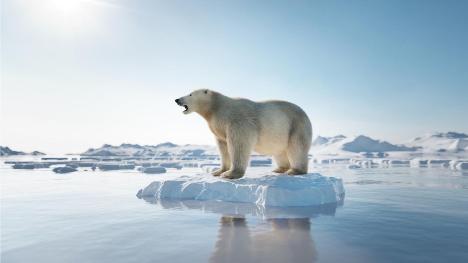 Climate Change Polar Bear Ice Melting Konrad Kozaczuk Shutterstock