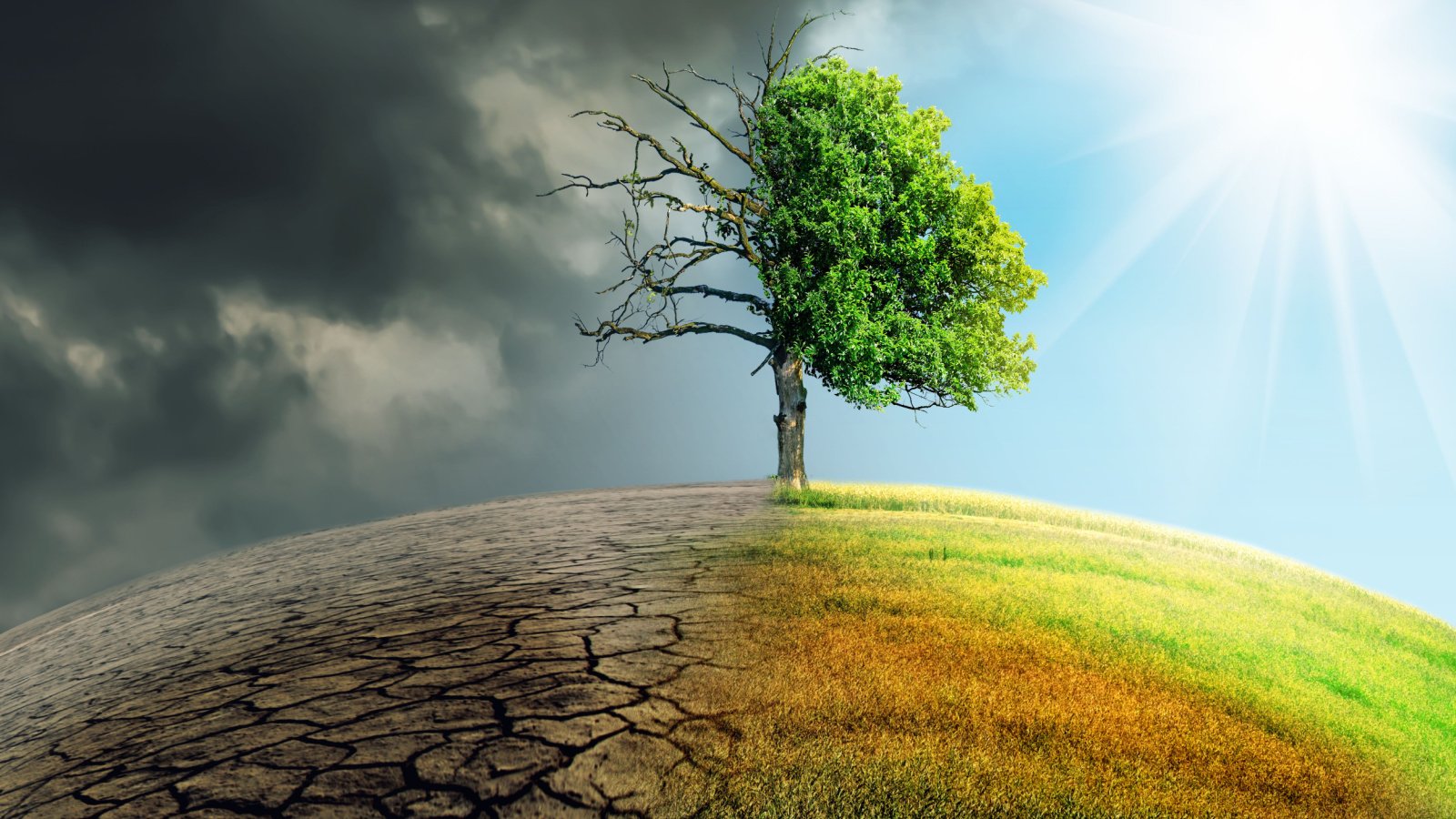 Climate change earth Sepp photography Shutterstock