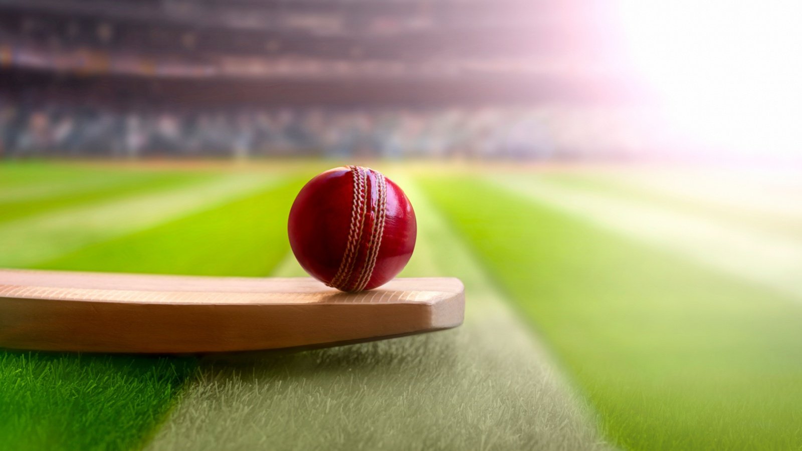 Cricket Bat Stadium GEMINI PRO STUDIO Shutterstock Cricket Bat Stadium GEMINI PRO STUDIO Shutterstock