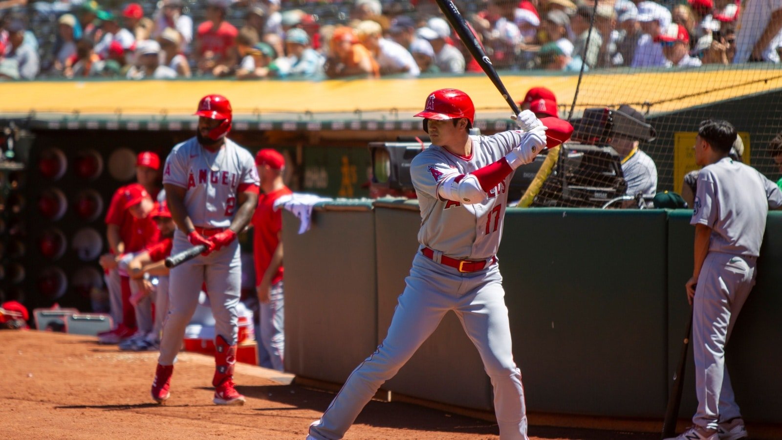 DH Shohei Ohtani MLB Baseball Conor P. Fitzgerald Shutterstock