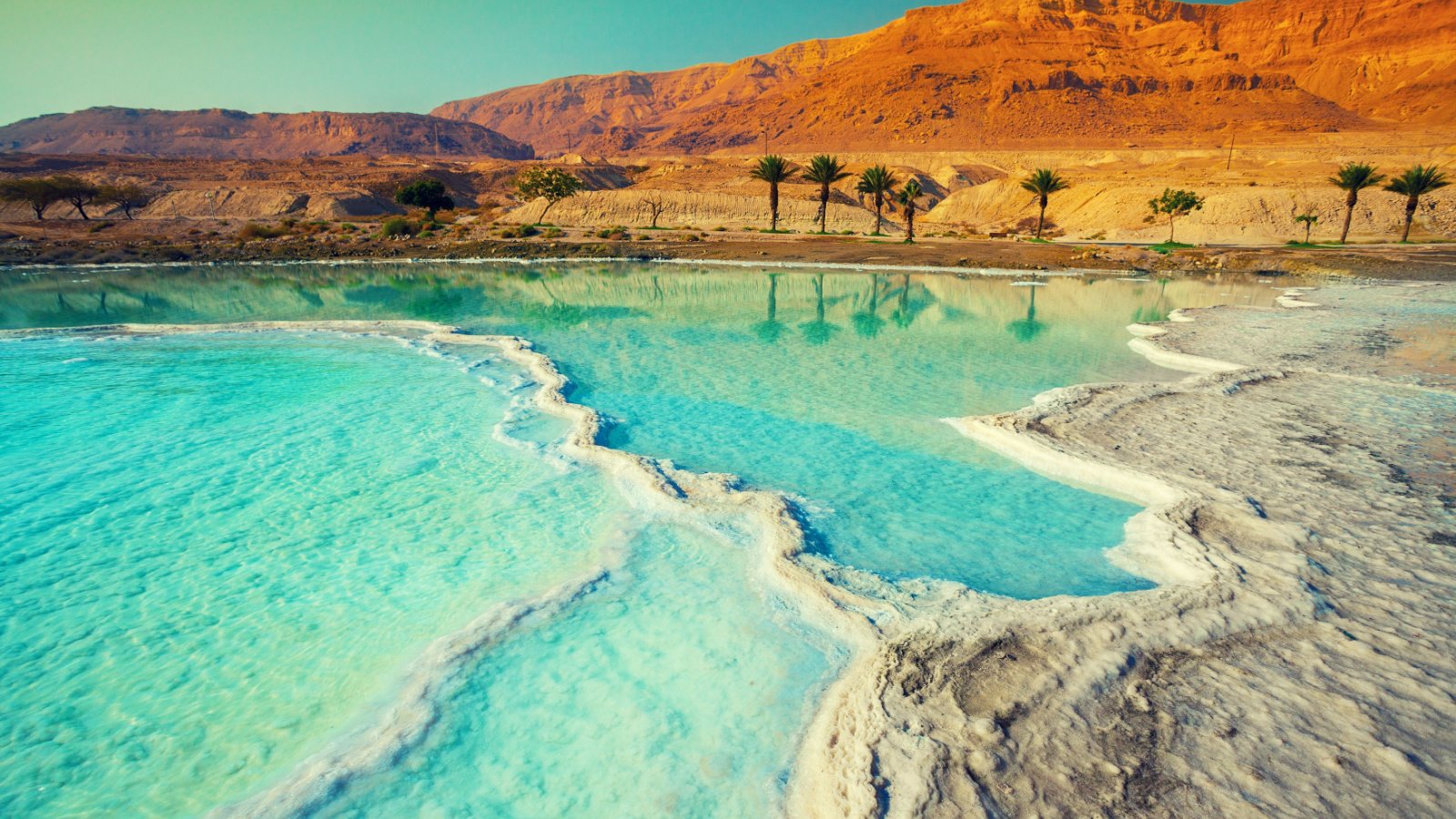 Dead sea Israel vvvita shutterstock