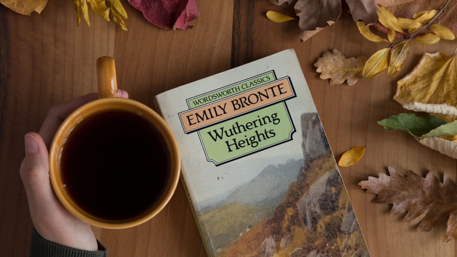 Emily Bronte Wuthering Heights Book Novel Fertas Shutterstock