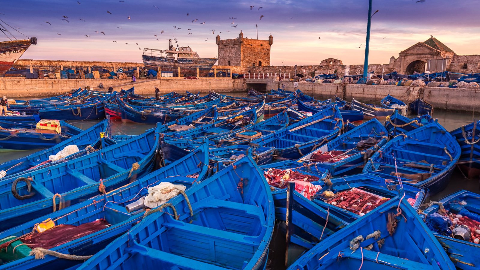 Essaouira port in Morocco RuslanKphoto Shutterstock