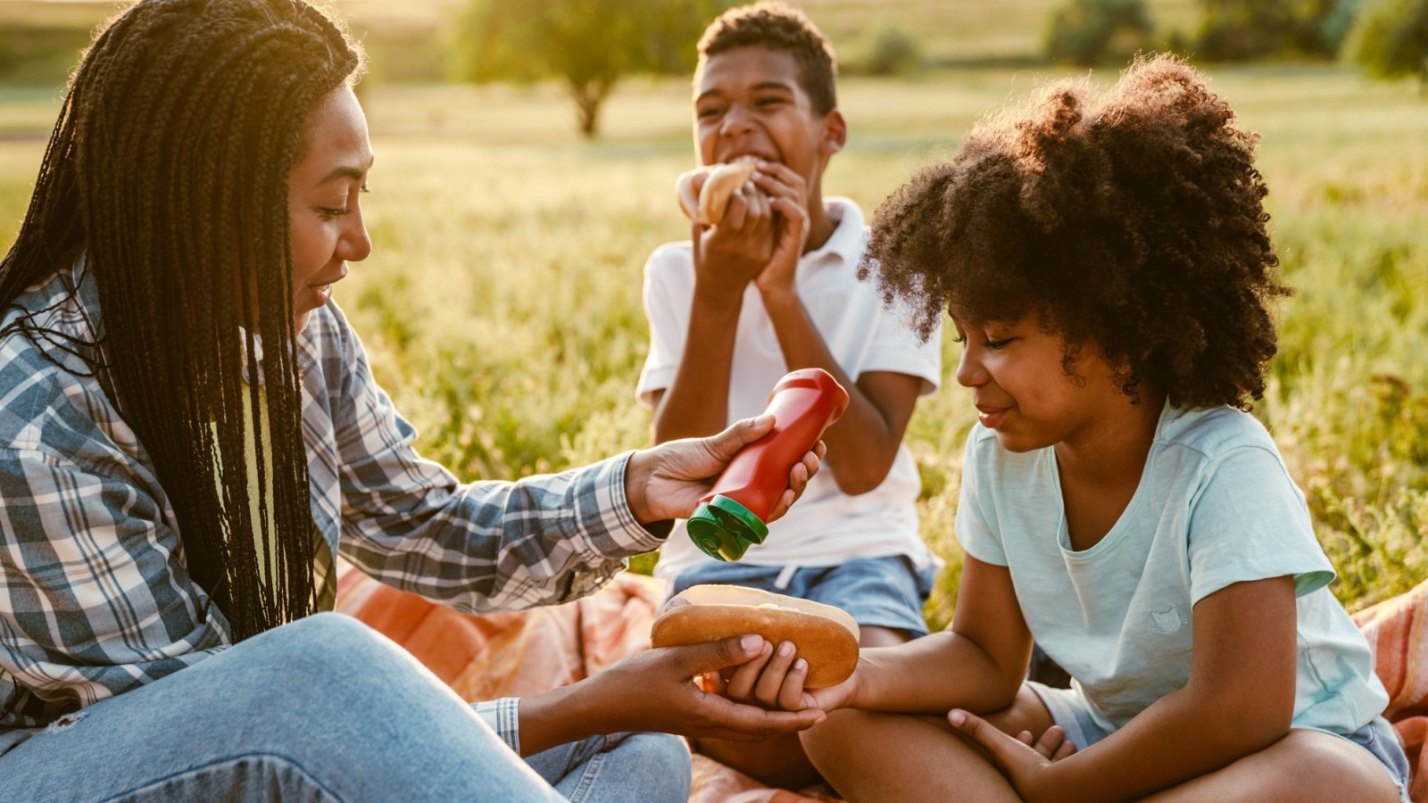 Family Picnic Ketchup Hot Dogs Dean Drobot Shutterstock