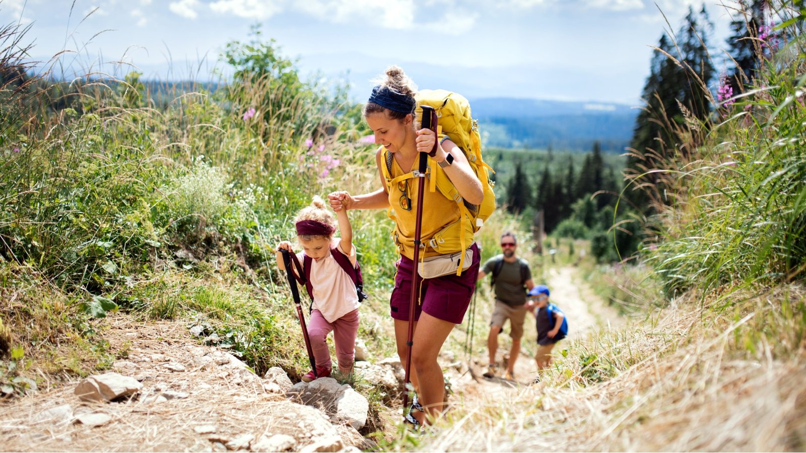 Family with small children hiking outdoors in summer nature exercise hike mountain national park forest Ground Picture Shutterstock