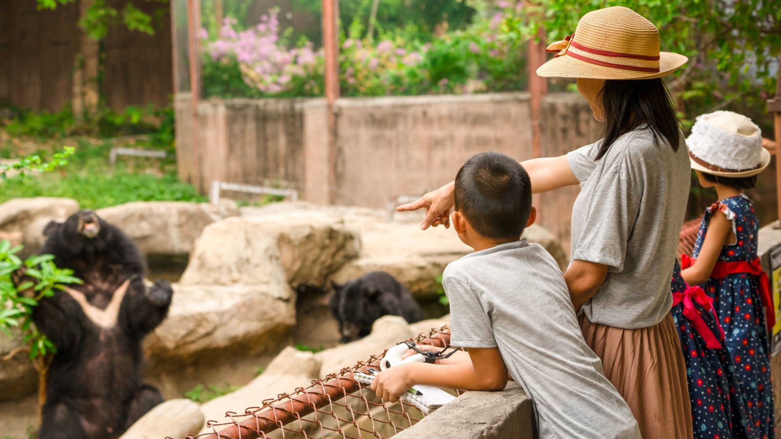 Family zoo outing bear animal Torychemistry Shutterstock