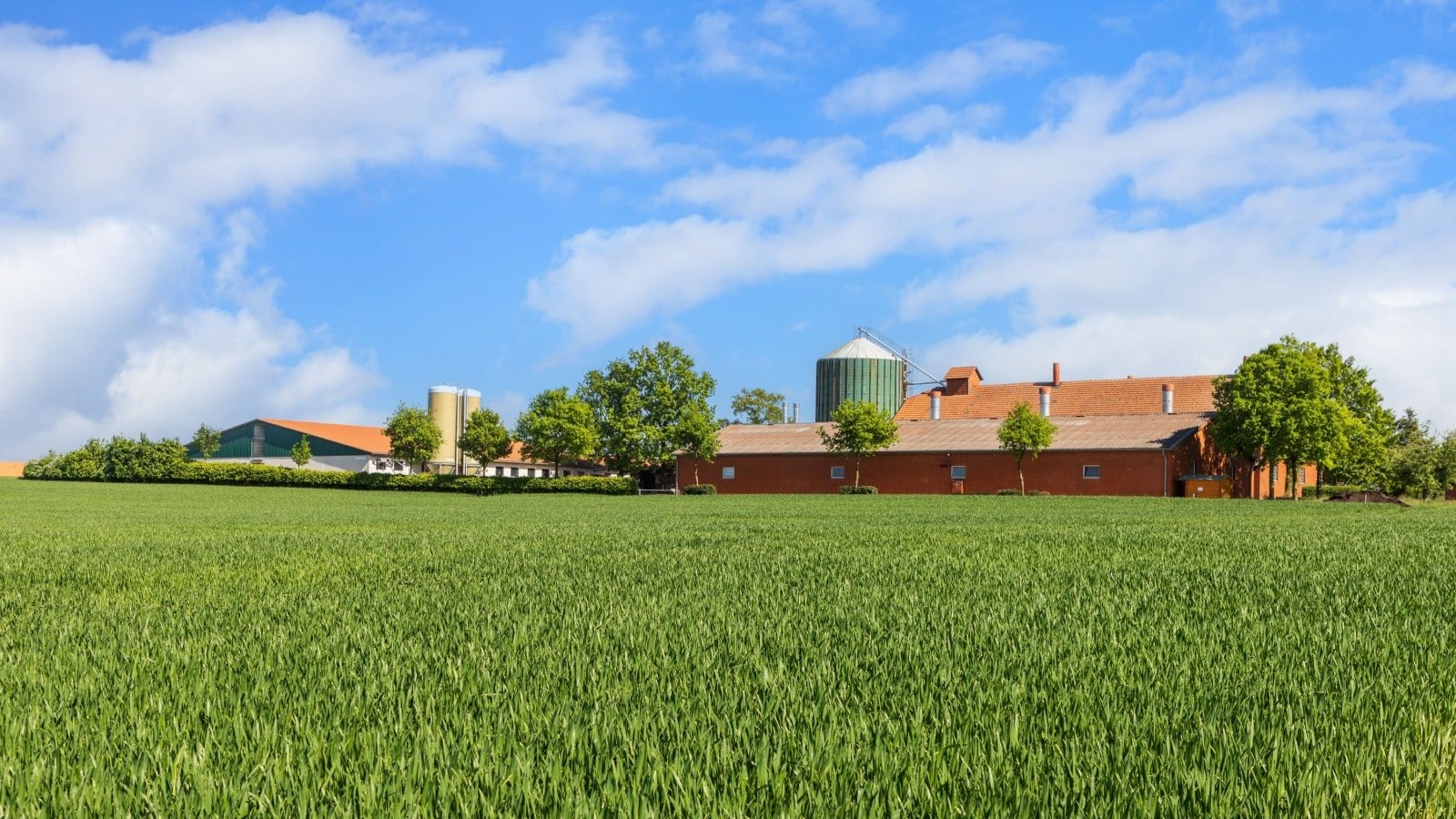 Farm with silo field barn crops BartTa Shutterstock