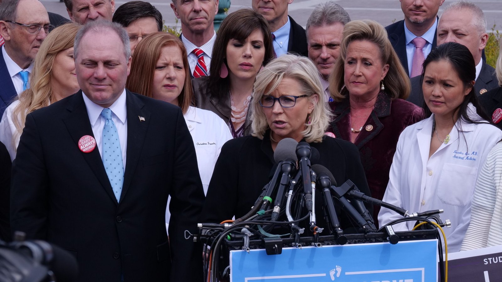 Former U.S. Congress Republican Liz Cheney Jerome460 Shutterstock