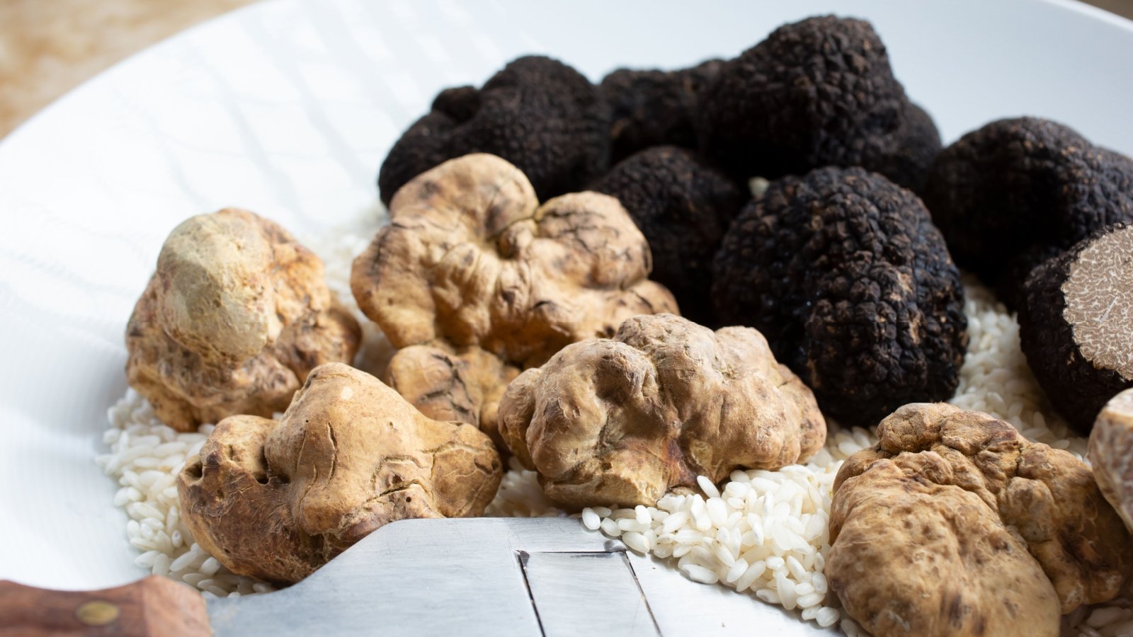 Fungi white and black truffles fungus The Image Party Shutterstock Fungi white and black truffles fungus The Image Party Shutterstock