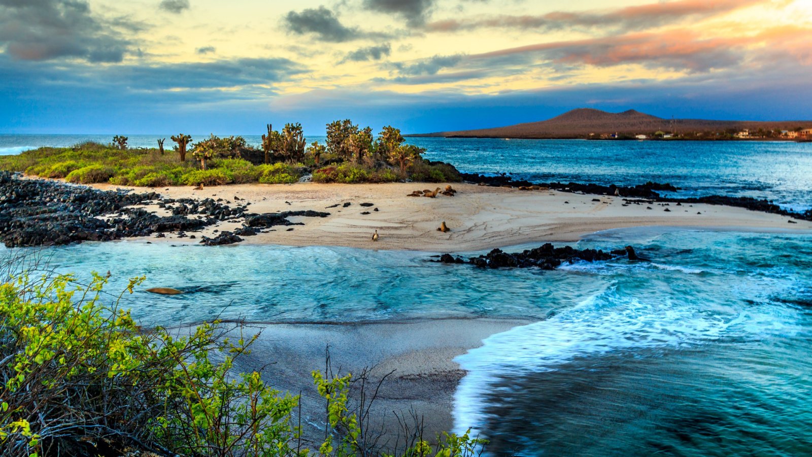 Galapagos Island Rene Holtslag Shutterstock