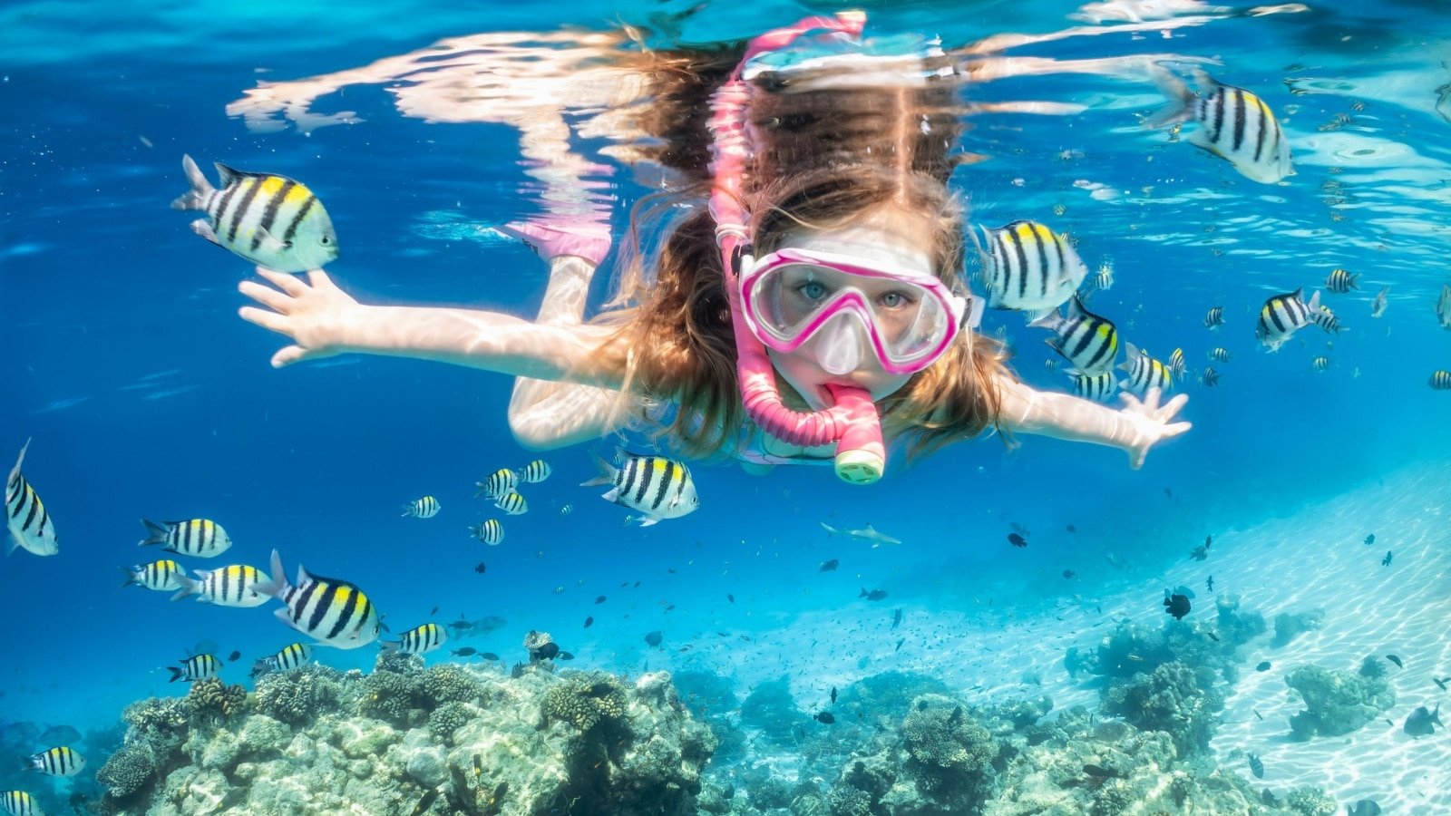 Girl Child Kid Swimming and Snorkeling in the Ocean Sven Hansche Shutterstock