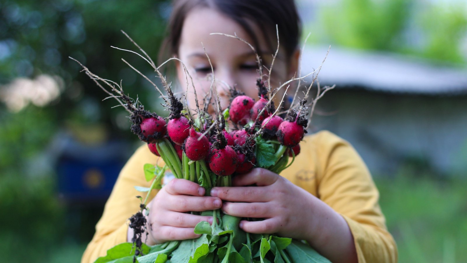 Girl Garden Radishes PeterPike Shutterstock