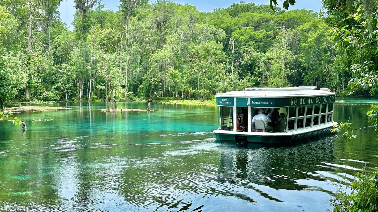 Glass bottom Boat ride with tourists at Silver Springs State Park Florida near Ocala Paulm1993 Shutterstock