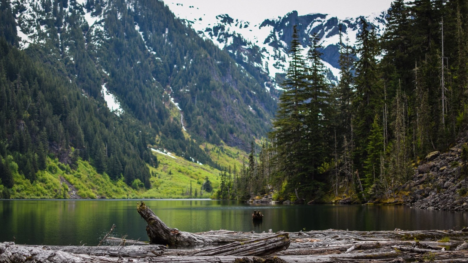 Goat Lake Hike in Washington State Kelsey Neukum Shutterstock