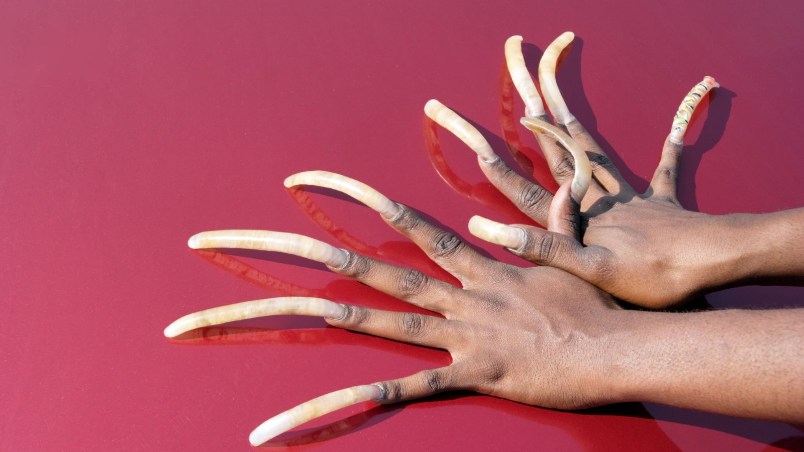 Gross Long Records Fingernails Woman Records Noel V. Baebler Shutterstock