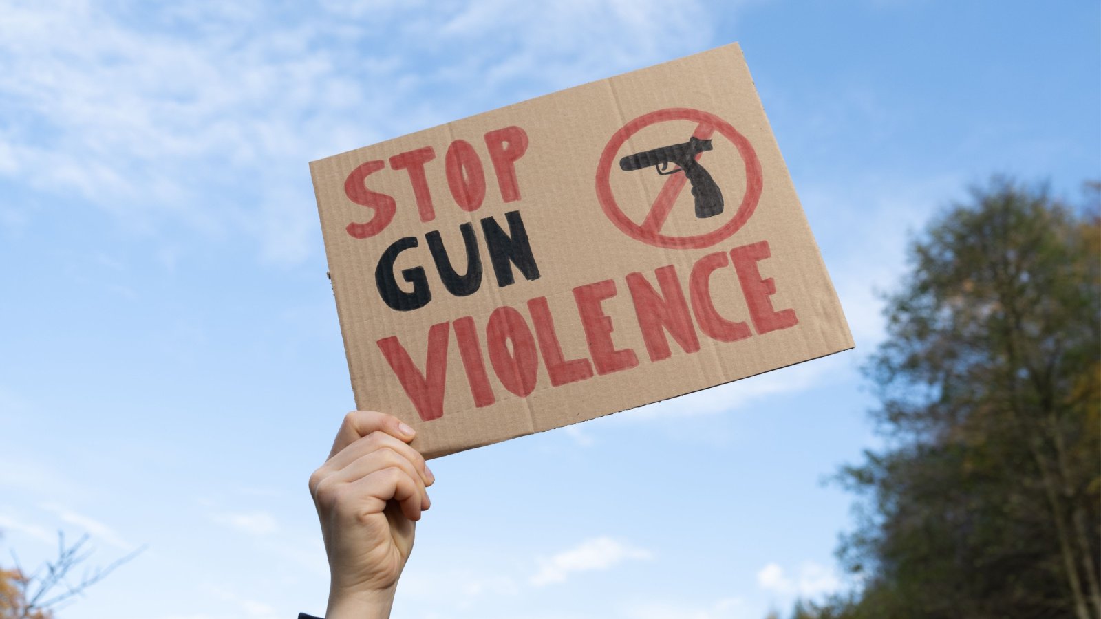 Gun Control Protest Sign Second Amendment Longfin Media Shutterstock