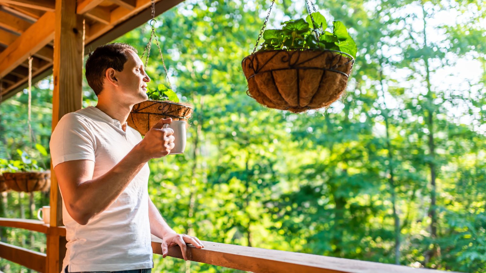 Hanging potted plant flowerpot drinking coffee tea mug Kristi Blokhin Shutterstock