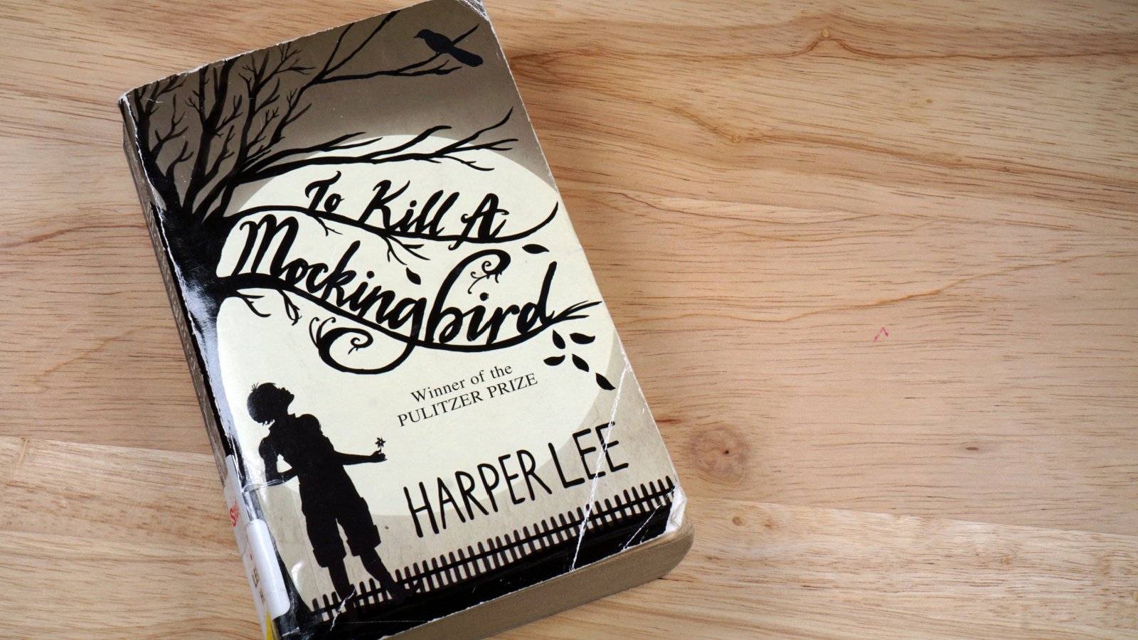 Harper Lee's To Kill A Mockingbird MKPhoto12 Shutterstock