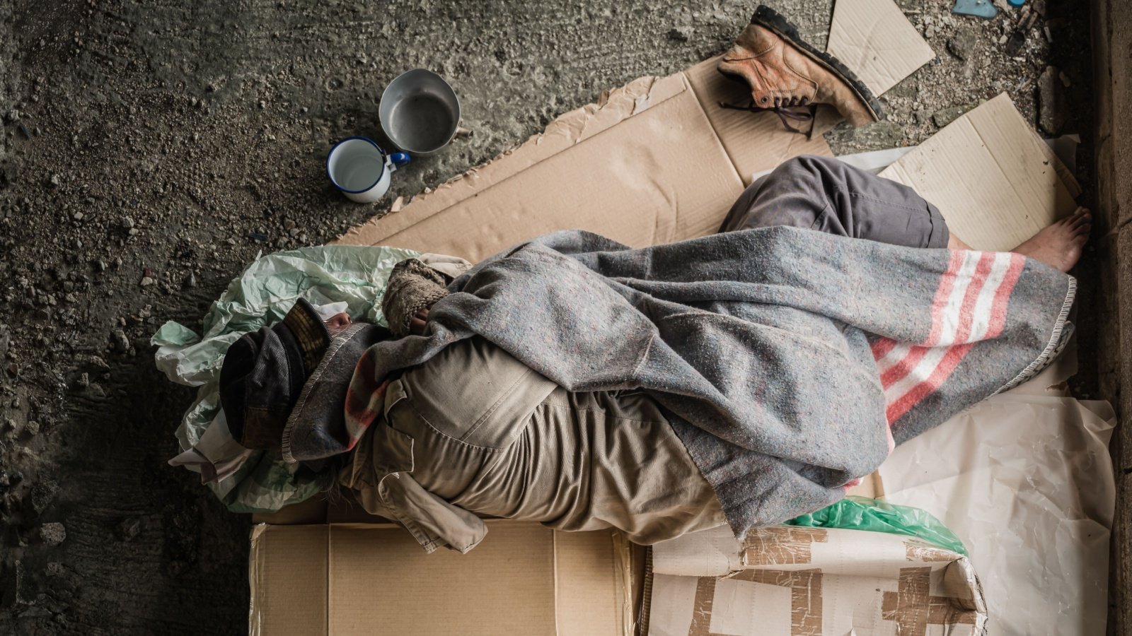 Homeless cardboard poor beggar APIWAN BORRIKONRATCHATA Shutterstock