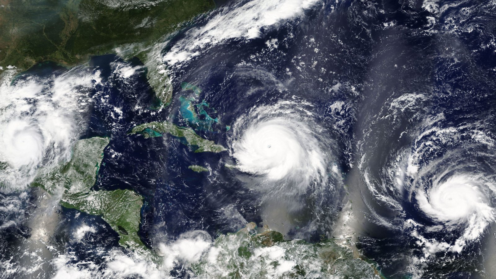 Hurricane storms tropical weatherclimate change global warming flooding lavizzara Shutterstock