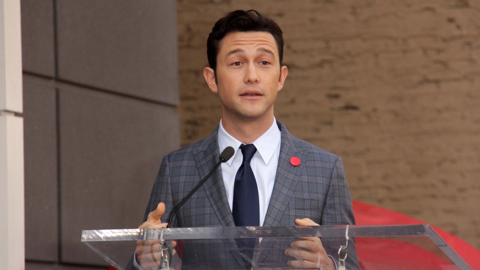 Joseph Gordon Levitt s bukley Shutterstock