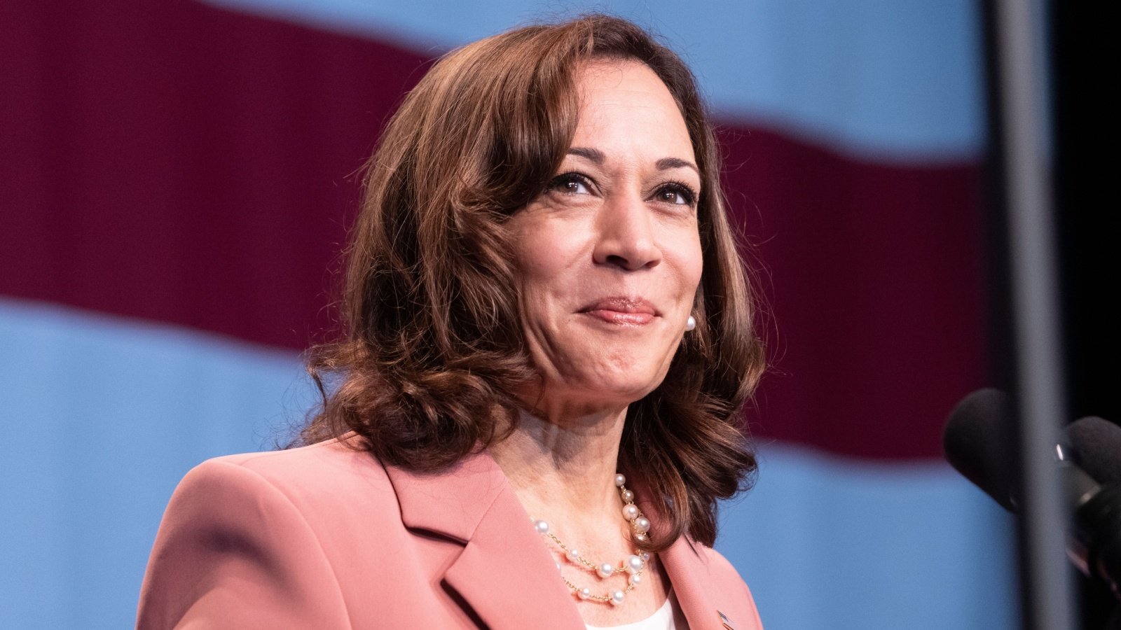 Kamala Harris politics politician democrat lev radin Shutterstock