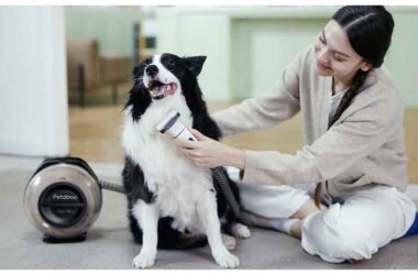 Keeping Your Dog’s Coat Healthy and Your Home Hair-Free