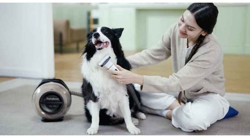Keeping Your Dog’s Coat Healthy and Your Home Hair-Free