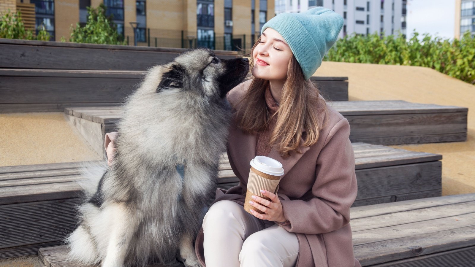 Keeshond Dog and Woman Coffee Outdoor Galaxy love design Shutterstock